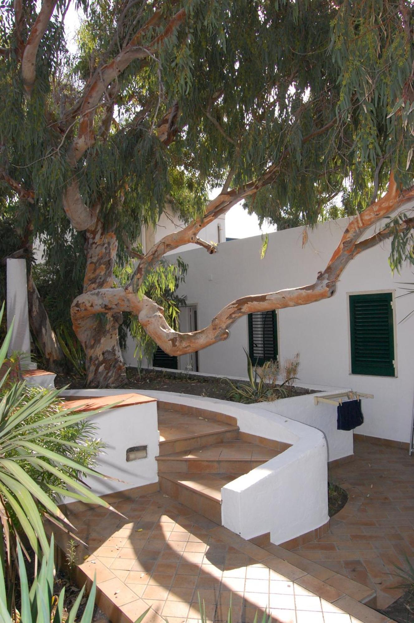 Hotel Conti Vulcano (Isola) Exterior foto